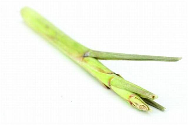 Lemongrass - energizing Used as an antiseptic, skin toner; balances the nervous system; stress reliever; relieves muscle aches; increases circulation.